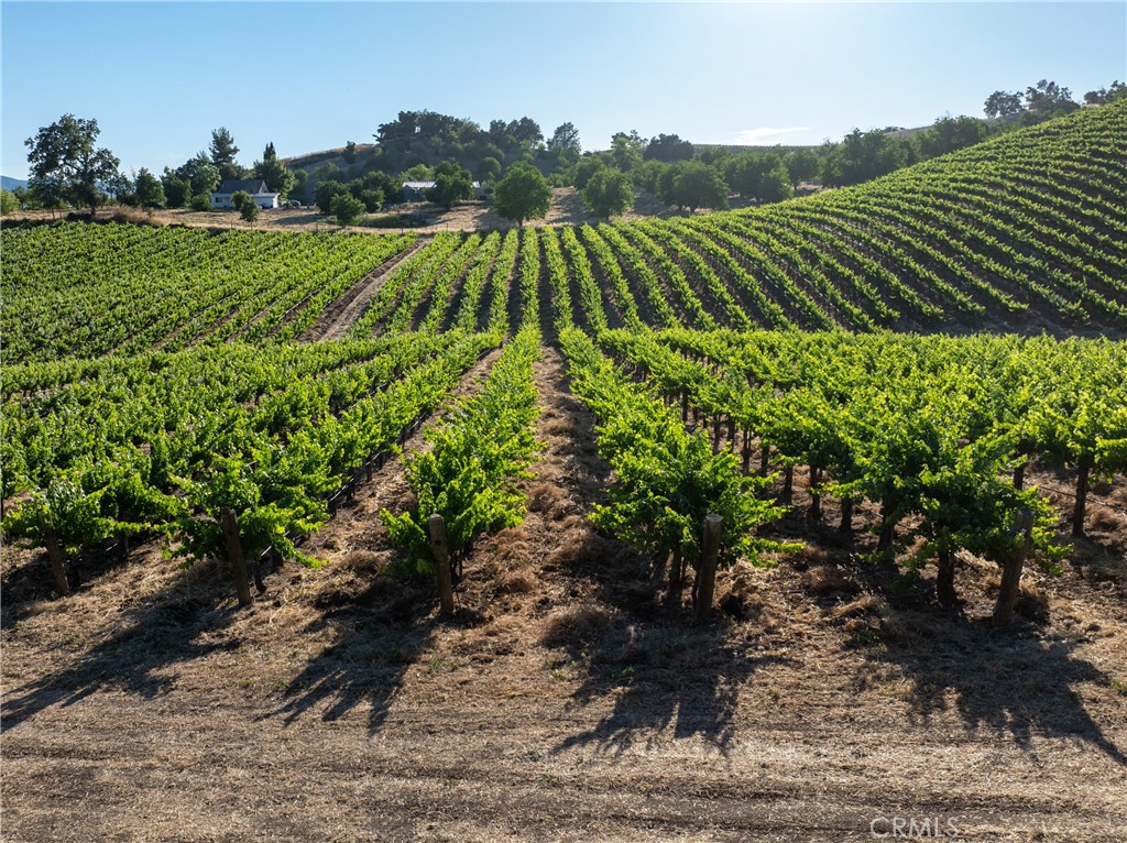 MLS #NS24129405 image #24