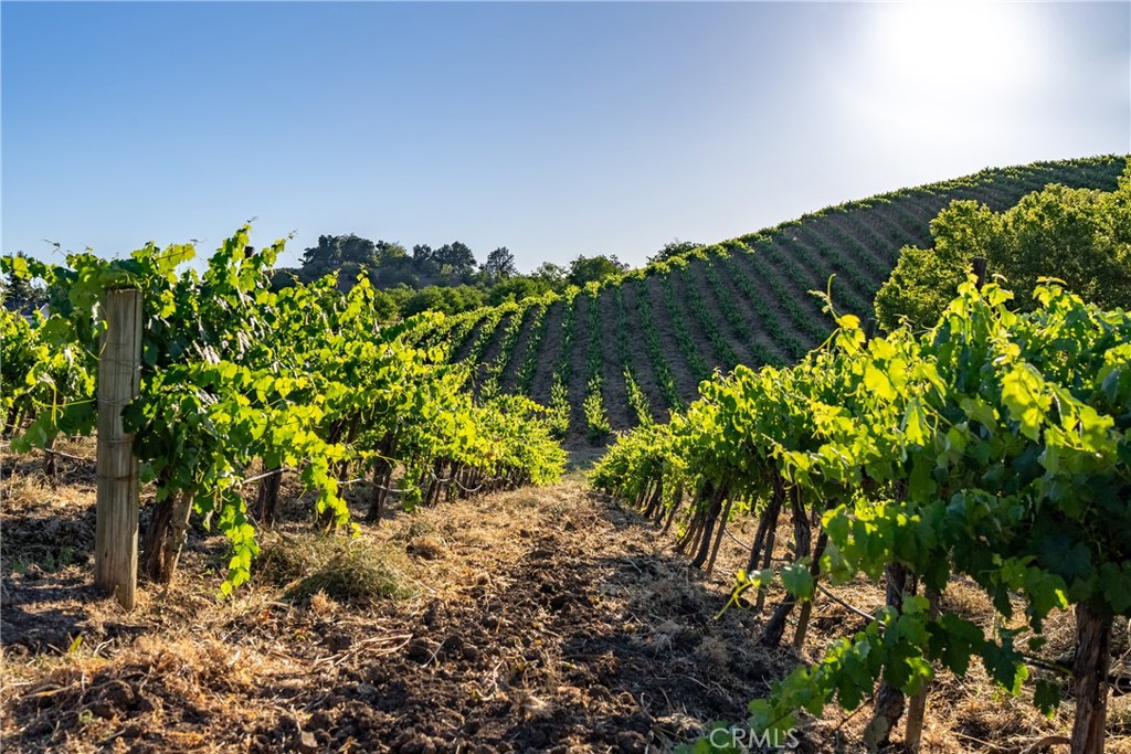 MLS #NS24129405 image #27