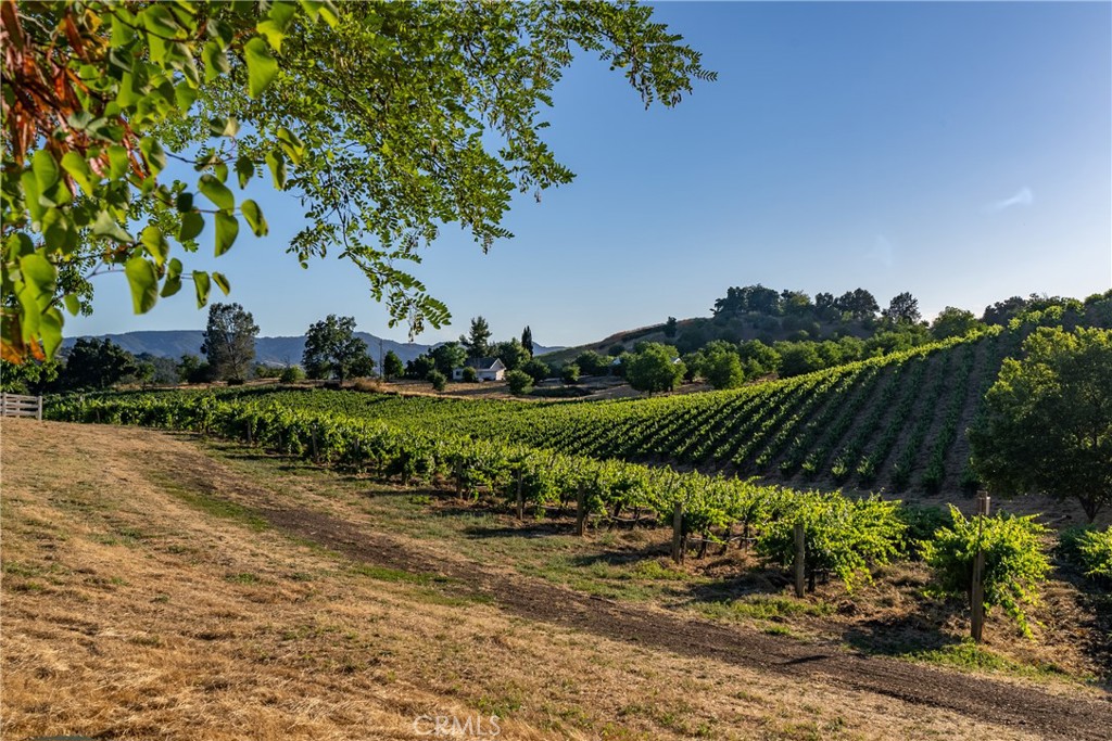 MLS #NS24129405 image #28