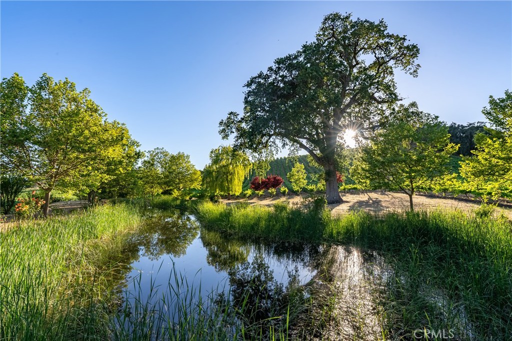 MLS #NS24129405 image #62