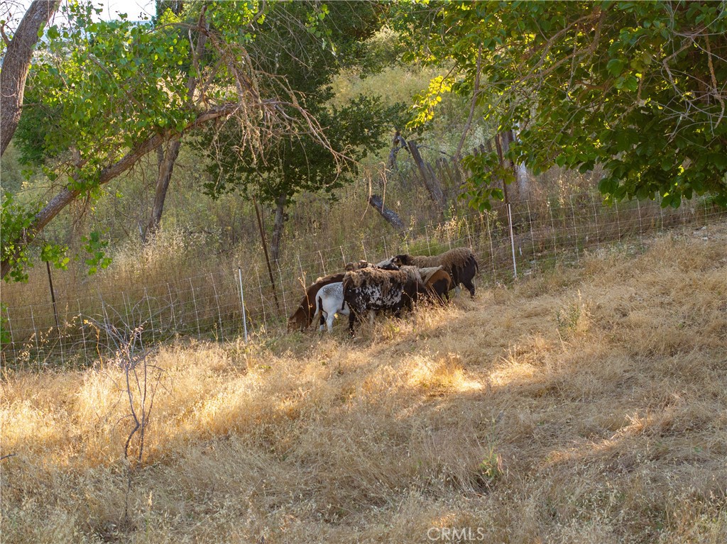 MLS #NS24129405 image #72