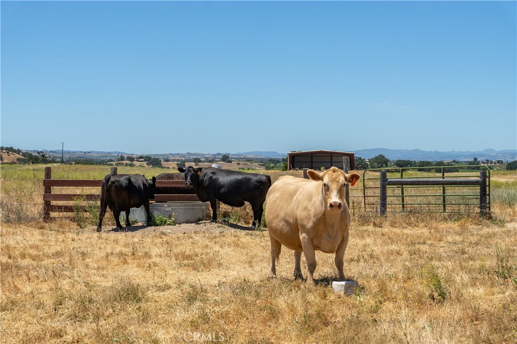 MLS #NS24139129 image #19