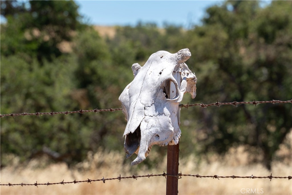 MLS #NS24139129 image #4