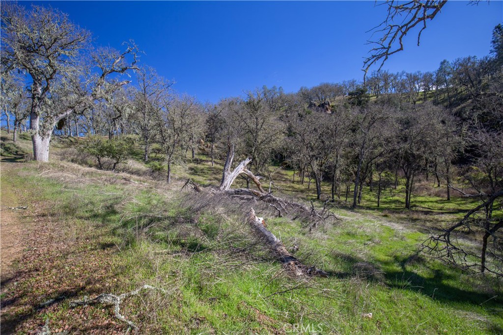 MLS #NS24168349 image #23