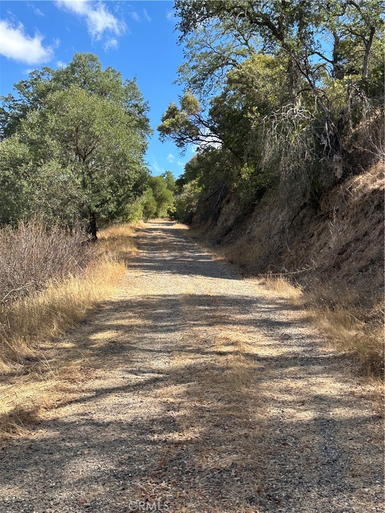 MLS #NS24168541 image #11