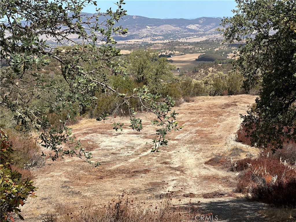 MLS #NS24168541 image #5