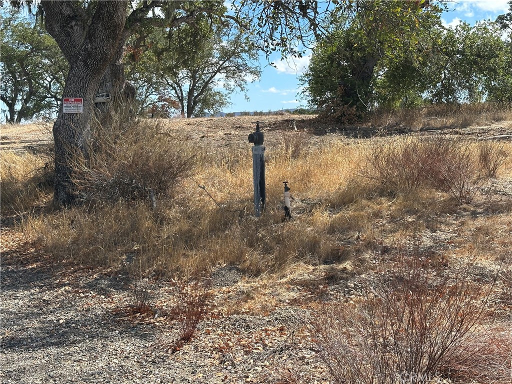 MLS #NS24168541 image #9