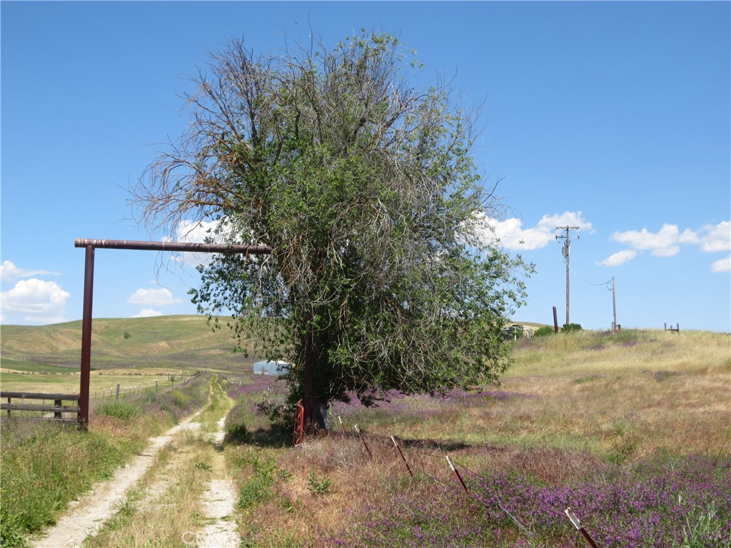 MLS #NS24178810 image #3