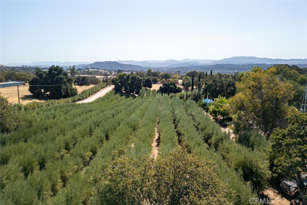 MLS #NS24202975 image #58