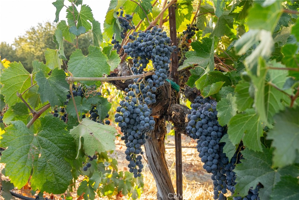 MLS #NS24208770 image #30