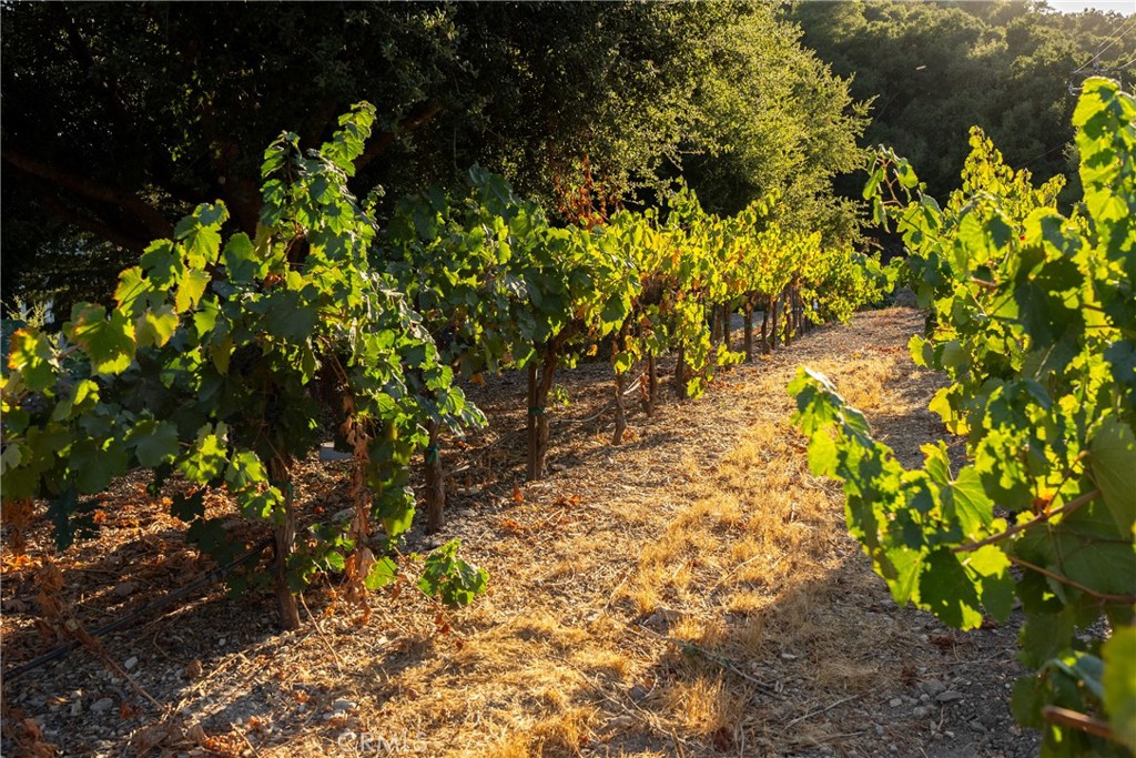 MLS #NS24208770 image #32