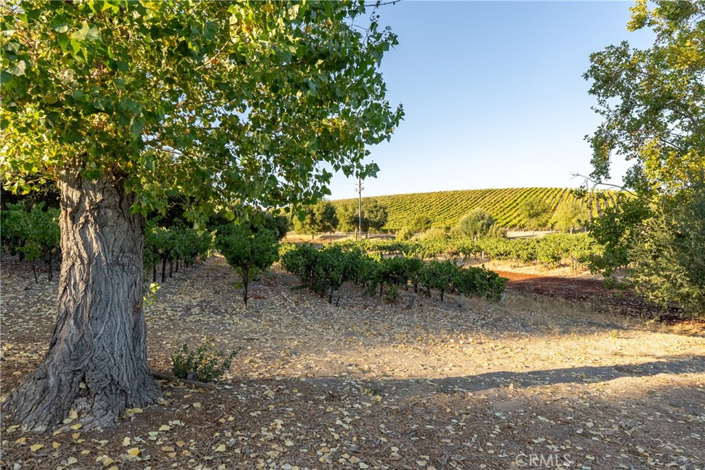 MLS #NS24208770 image #67