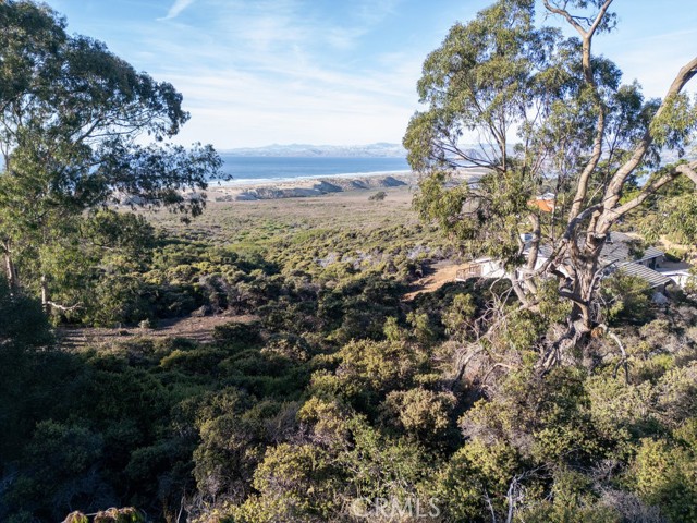 MLS #NS24210807 image #0