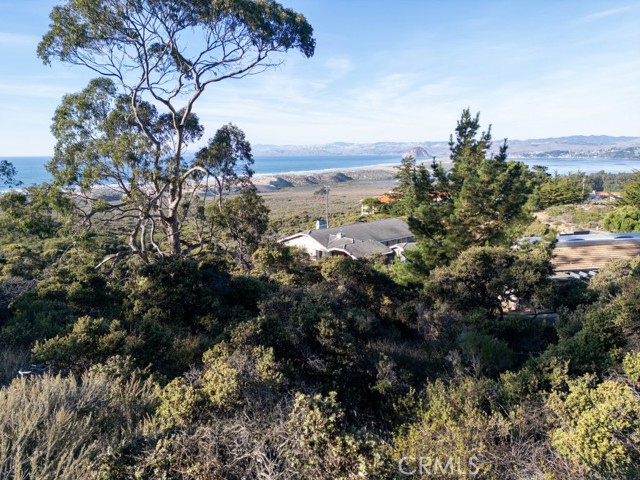 MLS #NS24210807 image #12