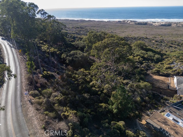 MLS #NS24210807 image #9