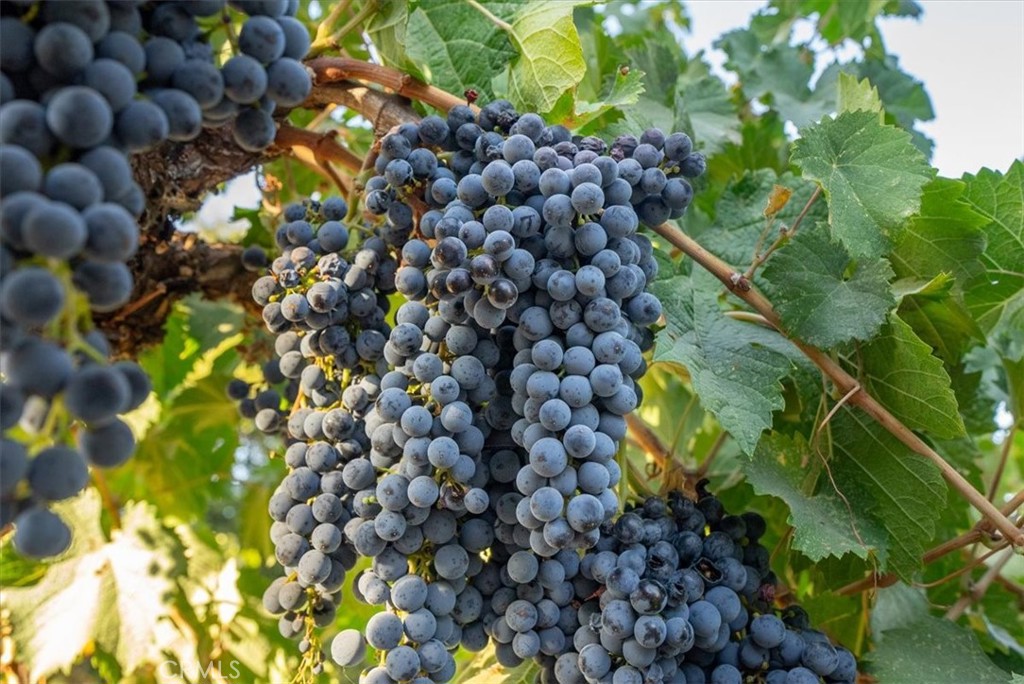 MLS #NS24223511 image #30