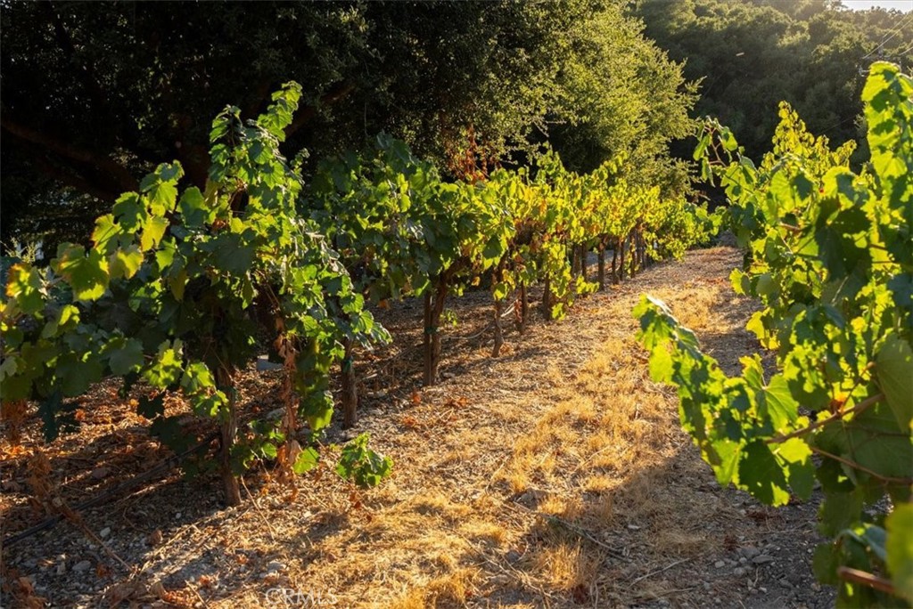 MLS #NS24223511 image #31