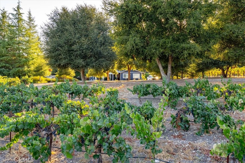 MLS #NS24223511 image #32