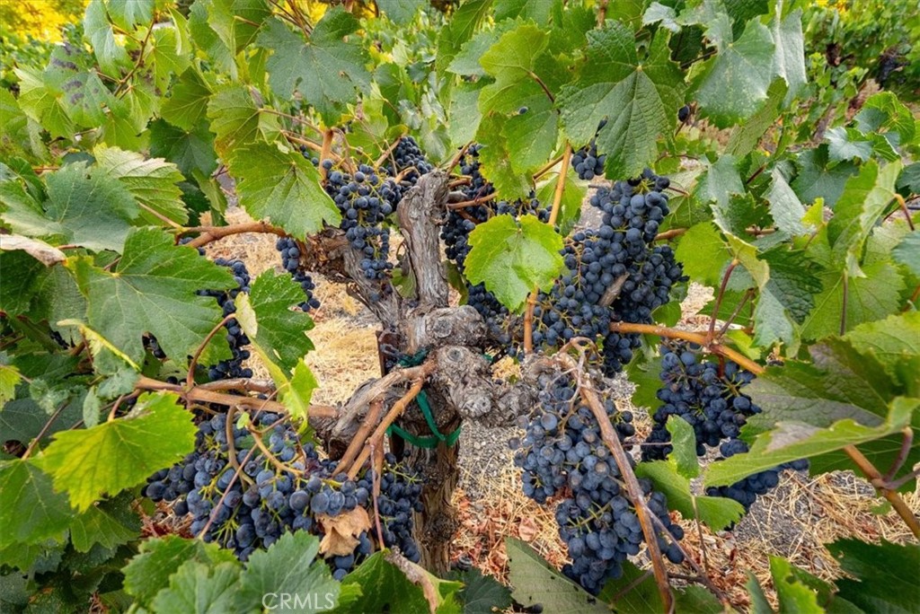 MLS #NS24223511 image #33