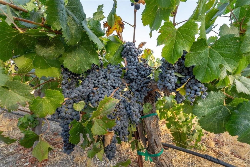 MLS #NS24223511 image #35