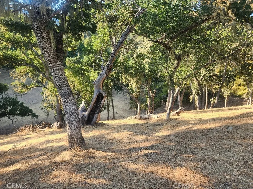 MLS #NS24232299 image #1