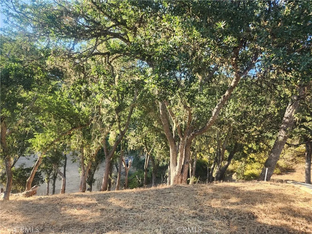 MLS #NS24232299 image #3