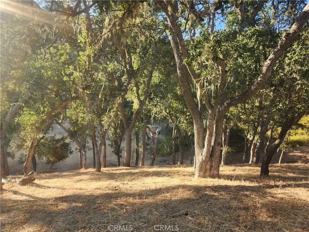 MLS #NS24232299 image #4