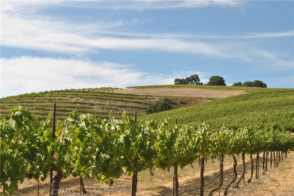 MLS #NS24240552 image #47