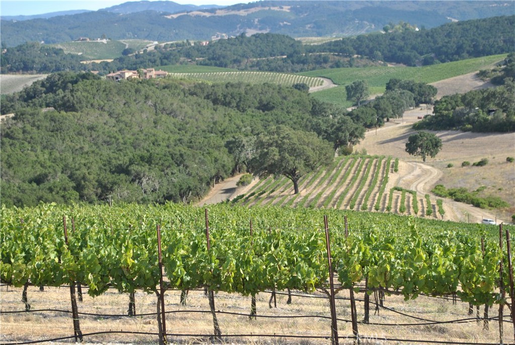 MLS #NS24240552 image #48