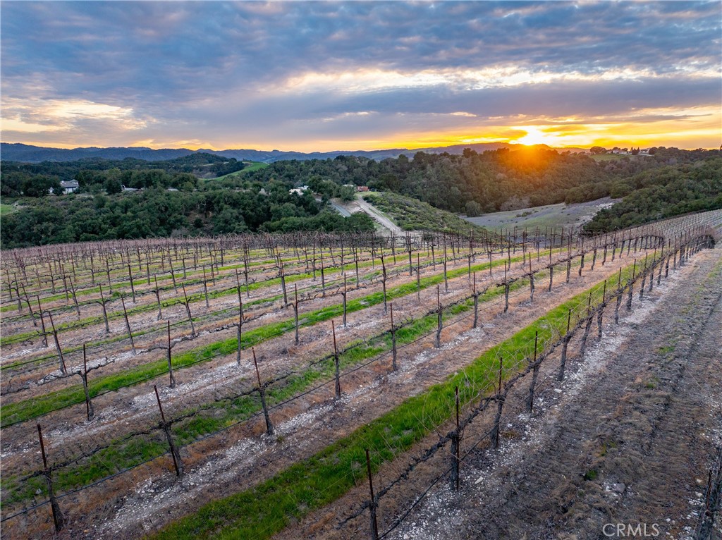 MLS #NS24240552 image #50