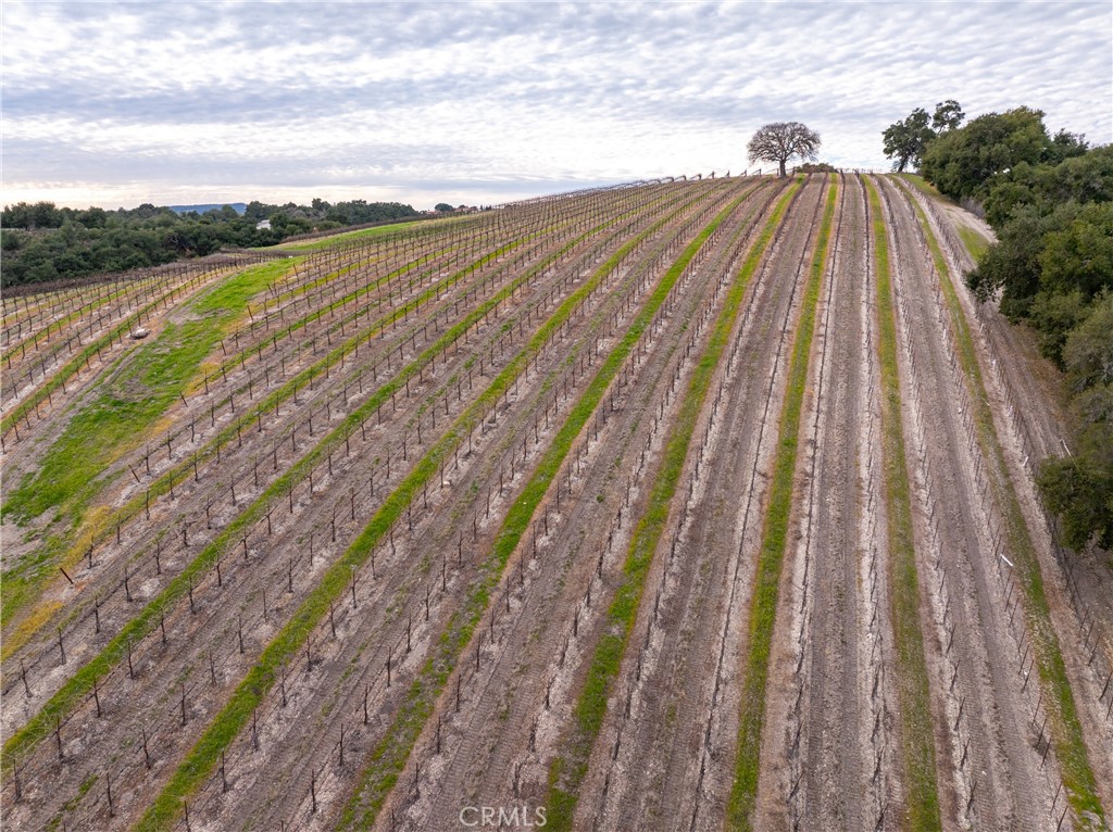 MLS #NS24240552 image #64