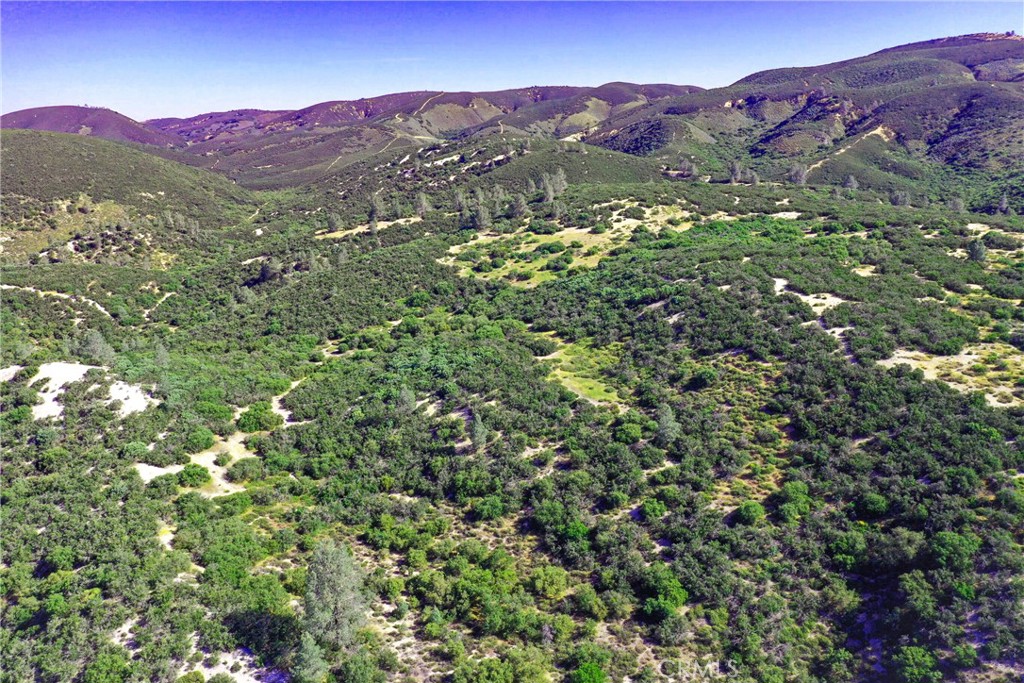 MLS #NS24240829 image #1