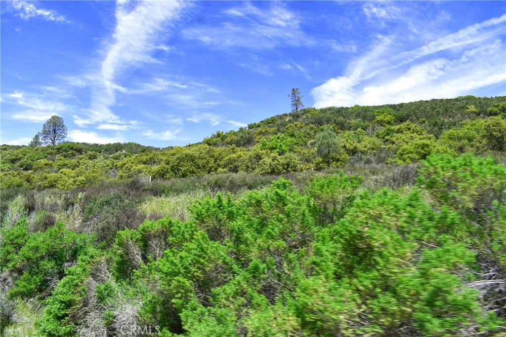 MLS #NS24240829 image #3