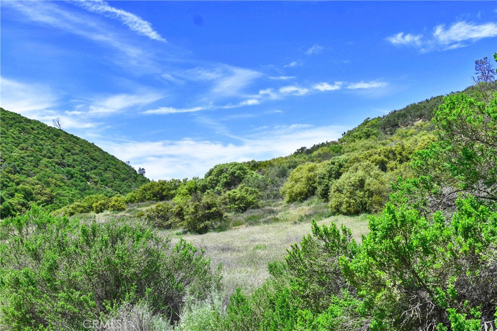 MLS #NS24240829 image #5