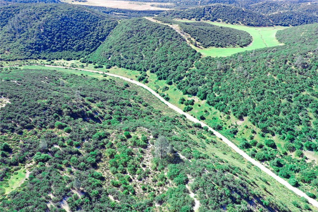 MLS #NS24240829 image #6