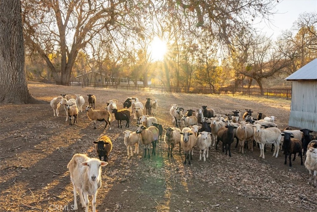 MLS #NS24242854 image #5