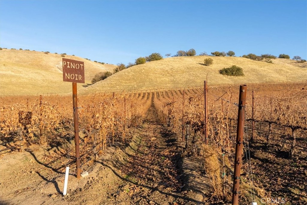 MLS #NS24242854 image #6