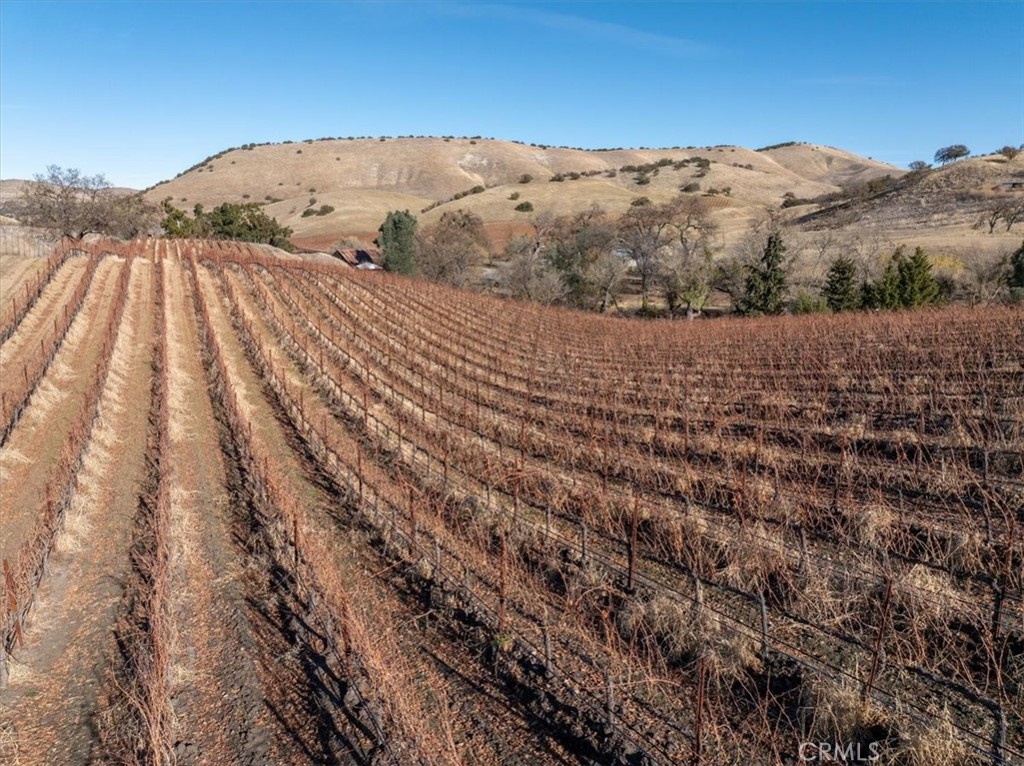 MLS #NS24242854 image #7