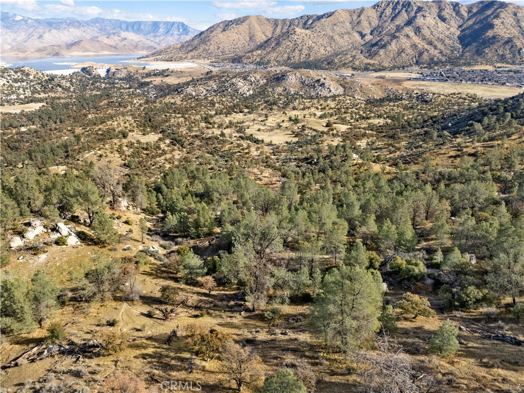 MLS #NS24252182 image #6