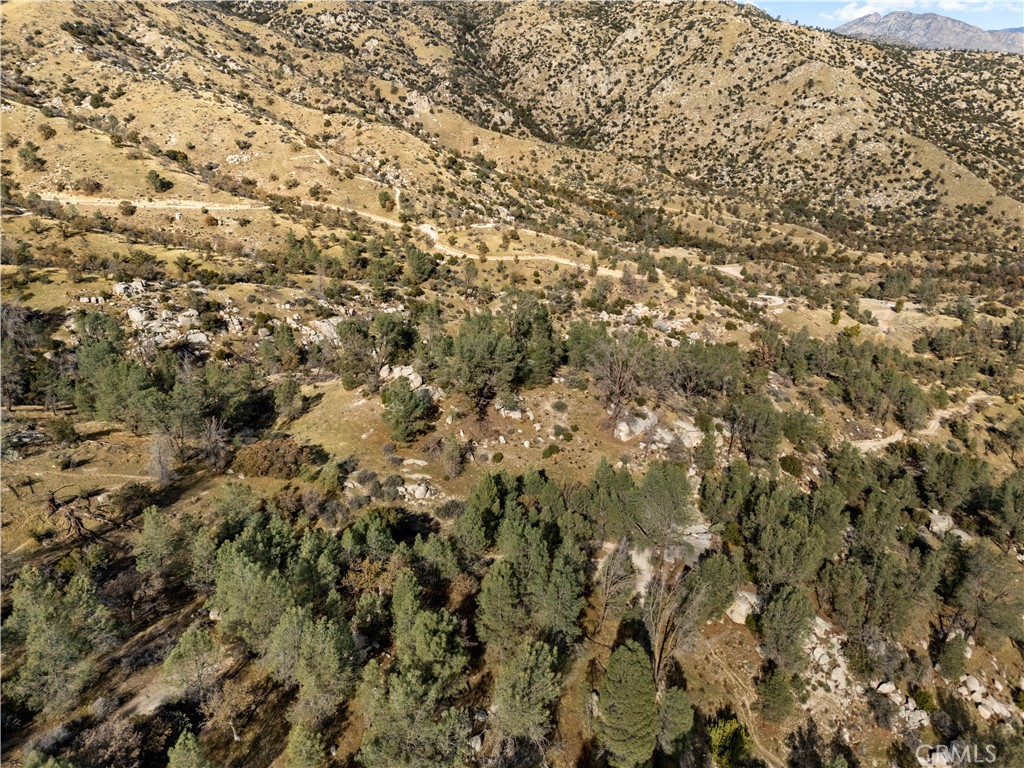 MLS #NS24252182 image #7