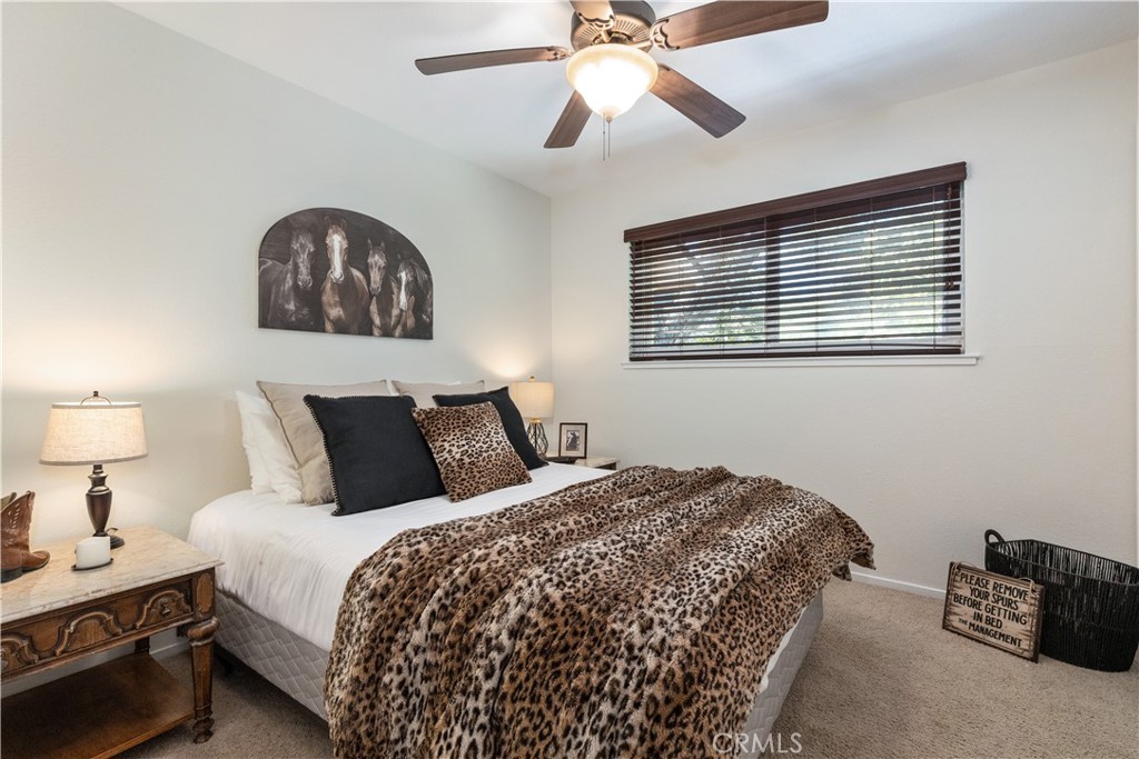 MLS #NS25008866 image #36