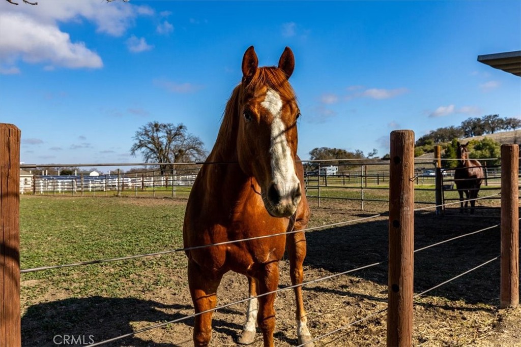 MLS #NS25021835 image #64