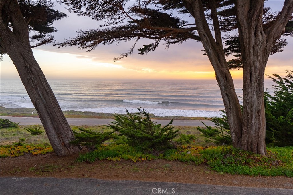 MLS #NS25047717 image #55