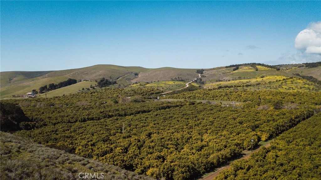 MLS #NS25061509 image #35