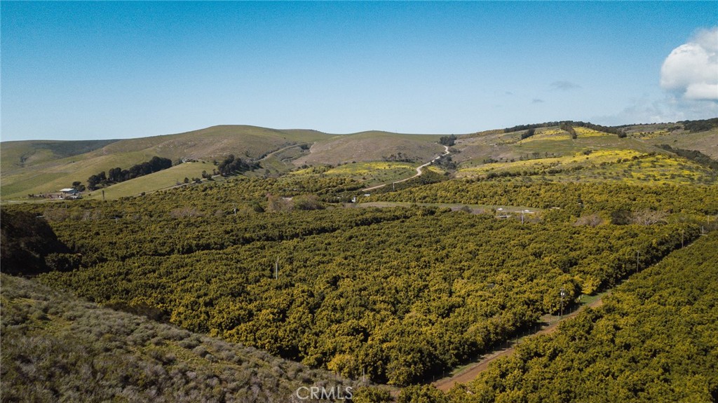 MLS #NS25061509 image #36