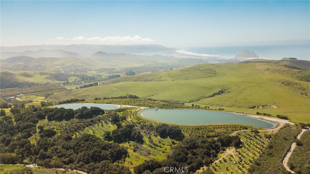 MLS #NS25061509 image #4