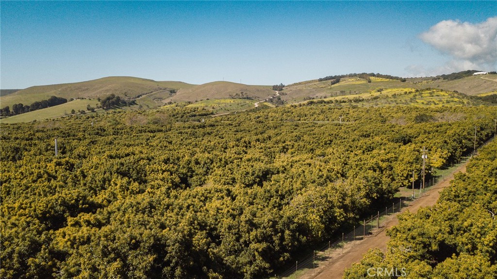 MLS #NS25061509 image #44