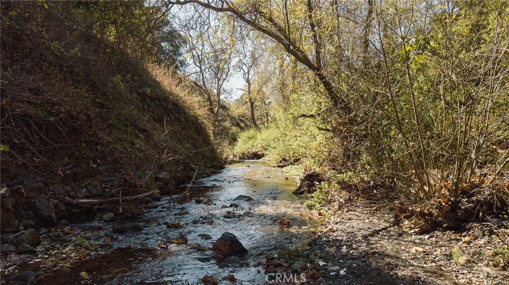 MLS #NS25061509 image #49