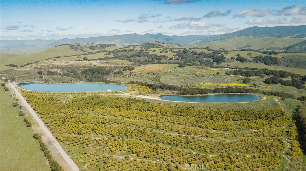 MLS #NS25061509 image #6