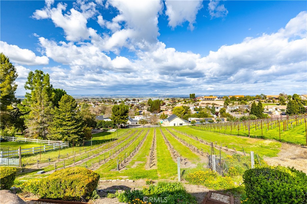 MLS #NS25064450 image #62